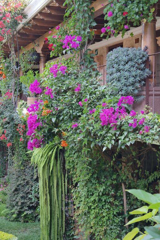 Hotel Genessis Antigua Zewnętrze zdjęcie